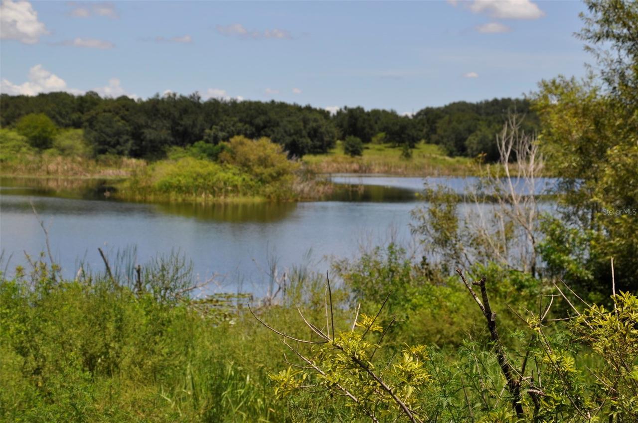 Lake Marie Dr., Haines City, FL 33844