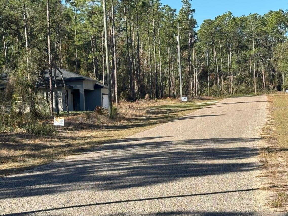 9367 N Fairy Lilly Dr., Dunnellon, FL 34433