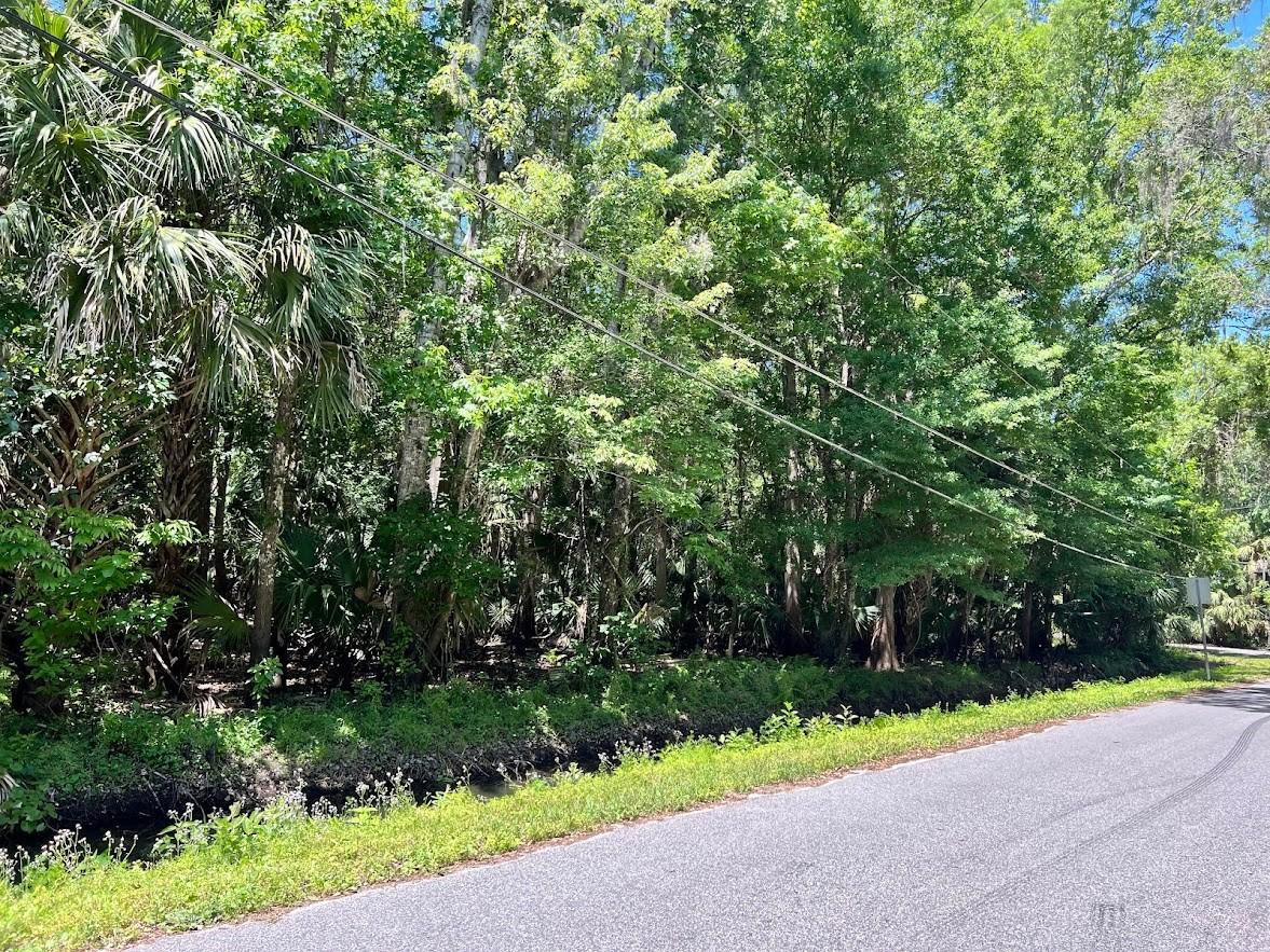 379 N Jungle Rd., Geneva, FL 32732