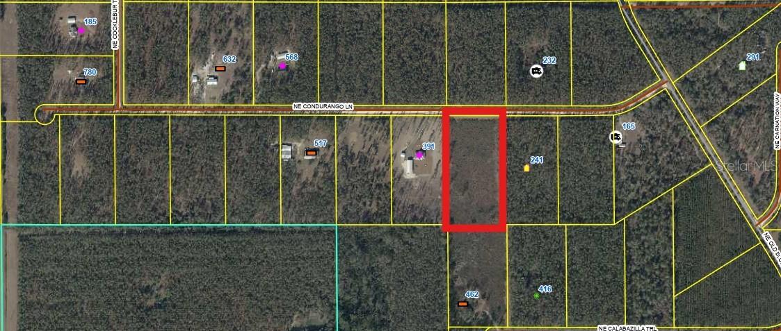 462 NE Calabazilla Tr., Lee, FL 32059