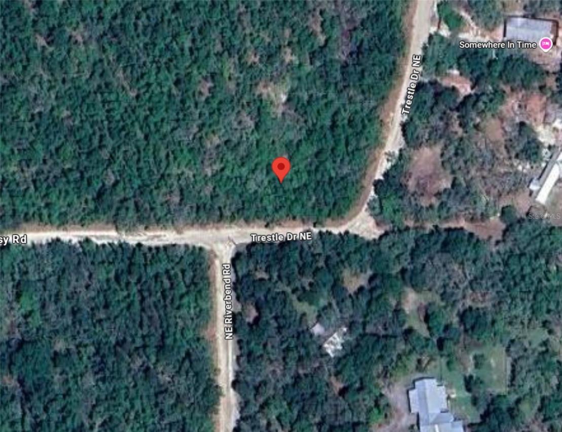 Ne Trestle Dr, Mayo, FL 32066
