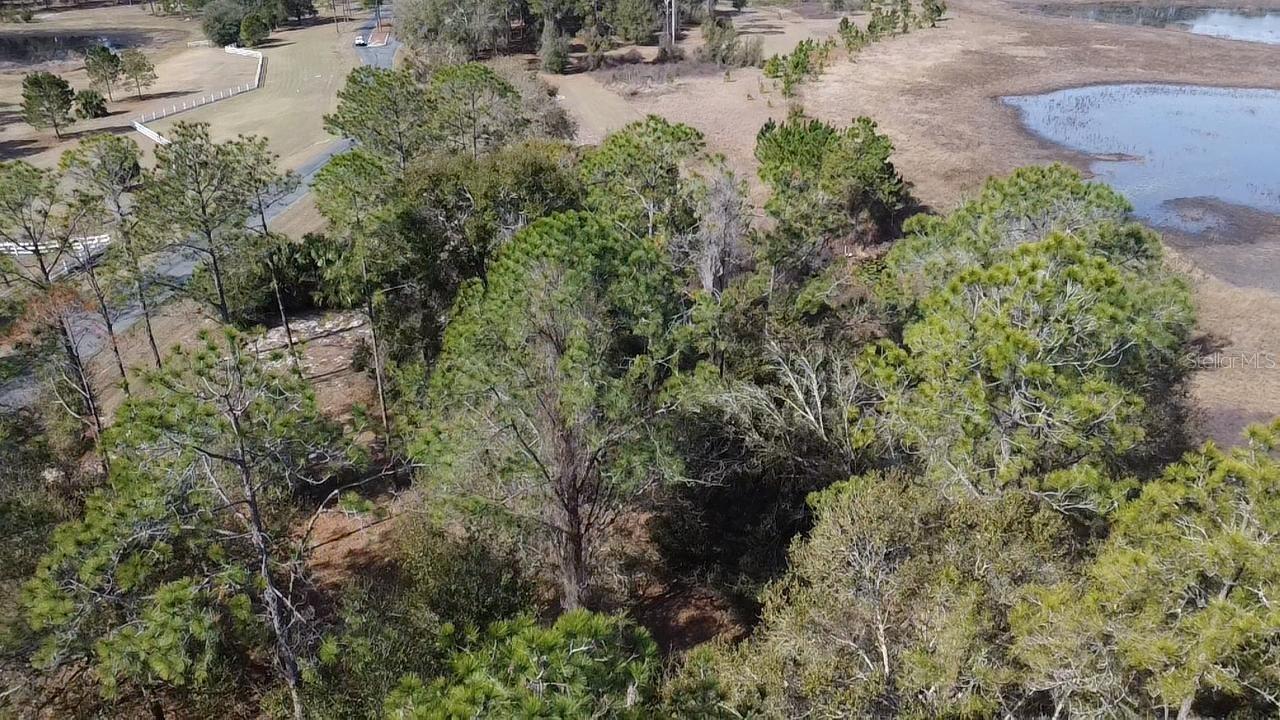 Bonsmara Dr., Leesburg, FL 34748