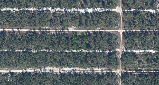 613 Parakeet Ave., Sebring, FL 33872