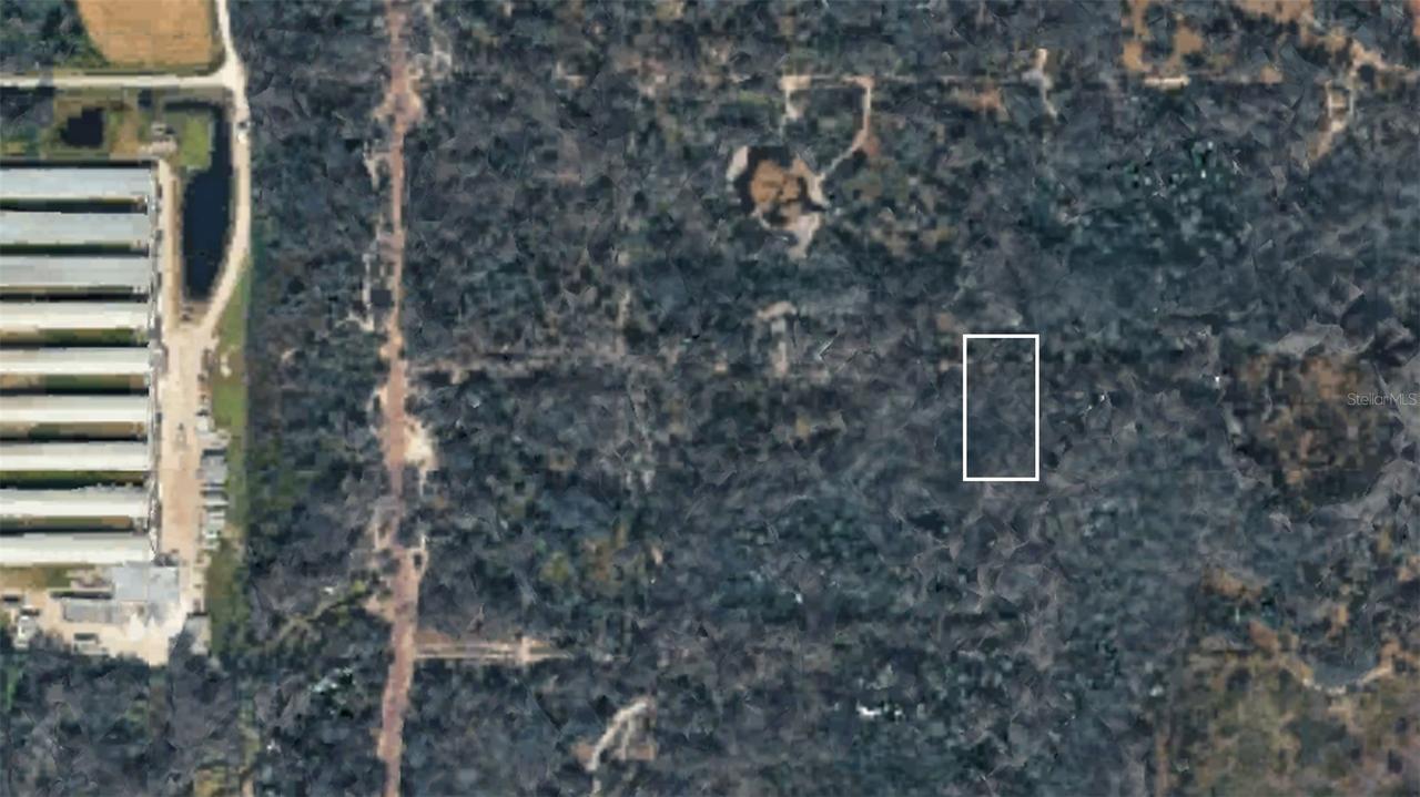 [Address Hidden by Seller], Kathleen, FL 33849