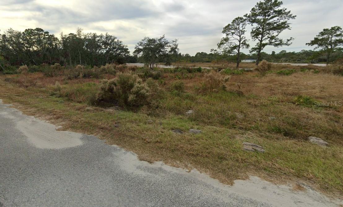62 Fisher Loop, Ocklawaha, FL 32179