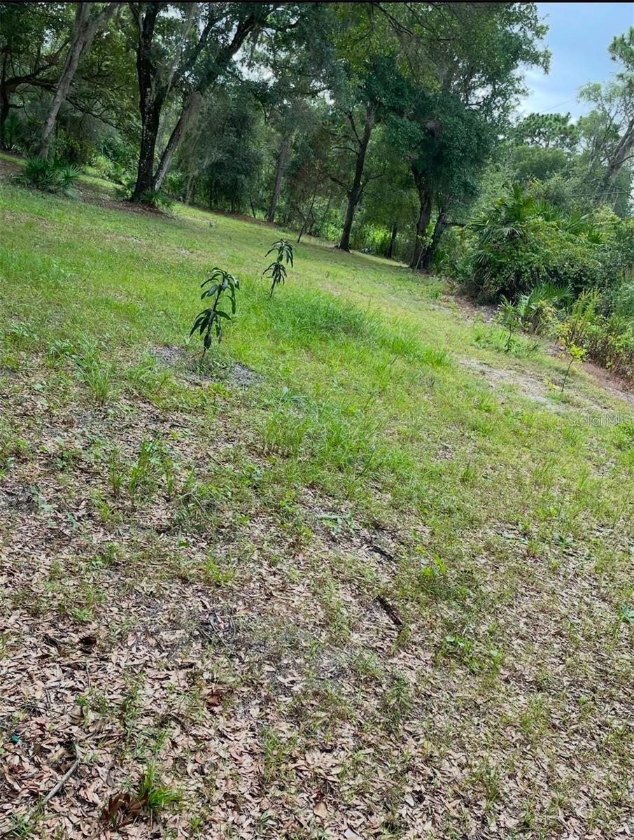 1301 Arapaho Tr., Geneva, FL 32732