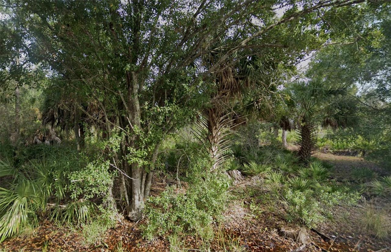 3382 Tiffiny St., Port Charlotte, FL 33980