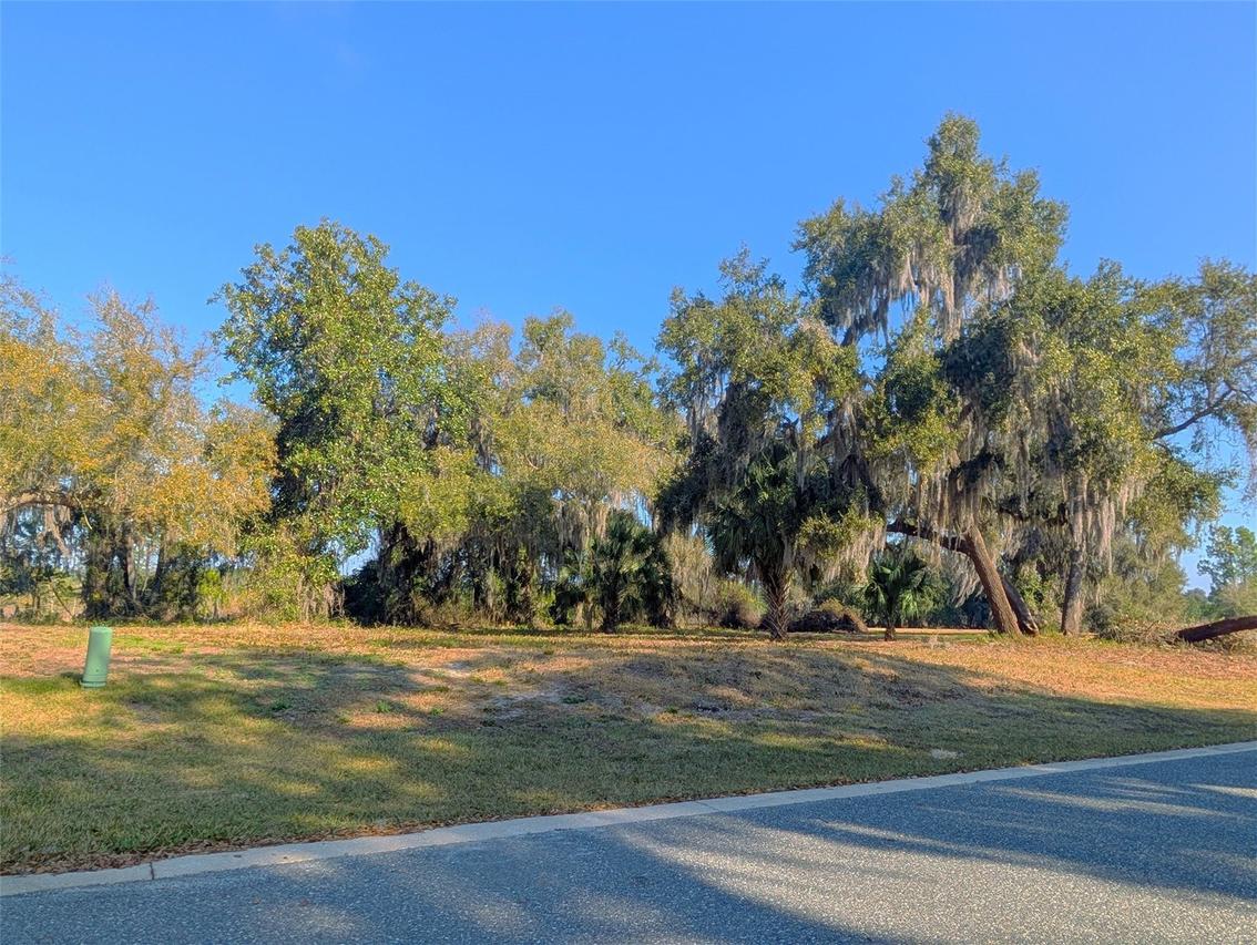 446 Long And Winding Rd., Howey In The Hills, FL 34737