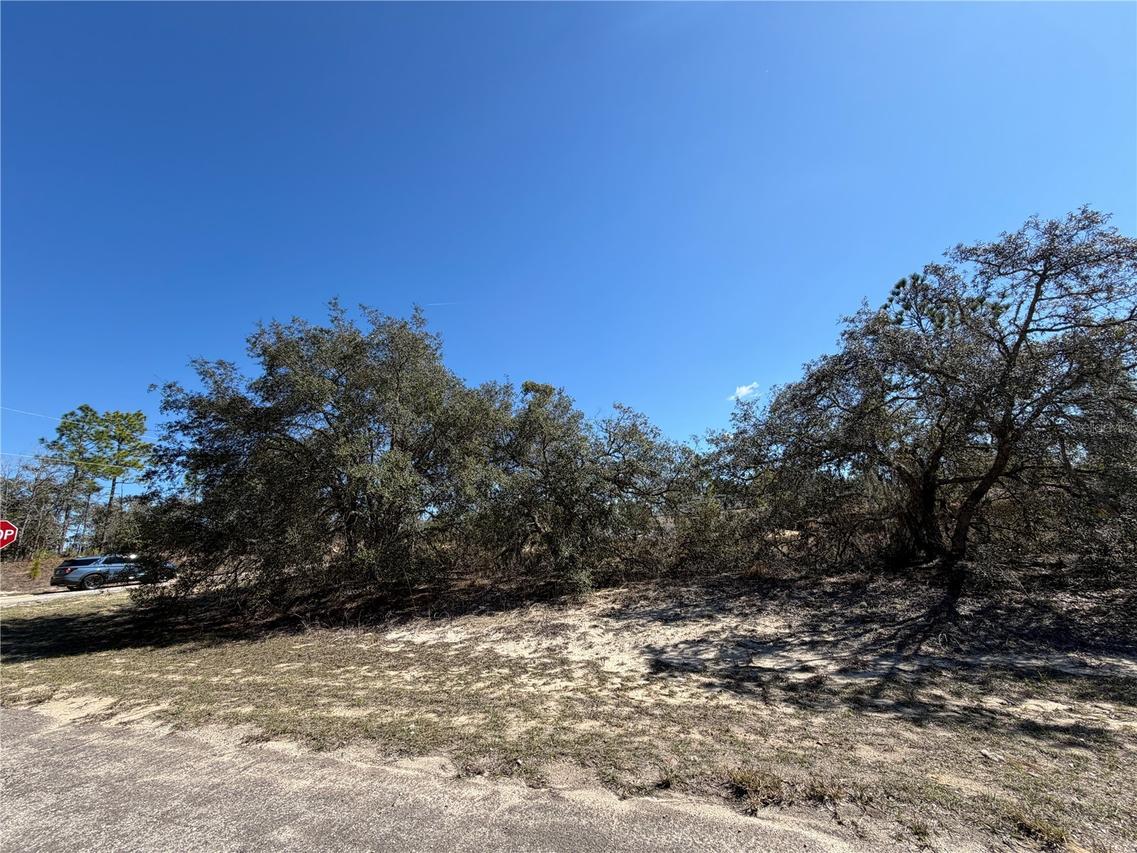 6725 N Killinger Ter., Citrus Springs, FL 34433