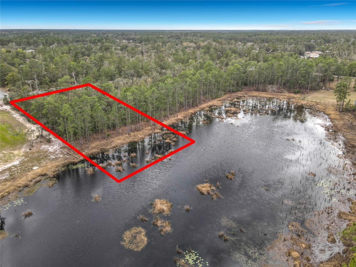 Nutmeg Ave., Eustis, FL 32736