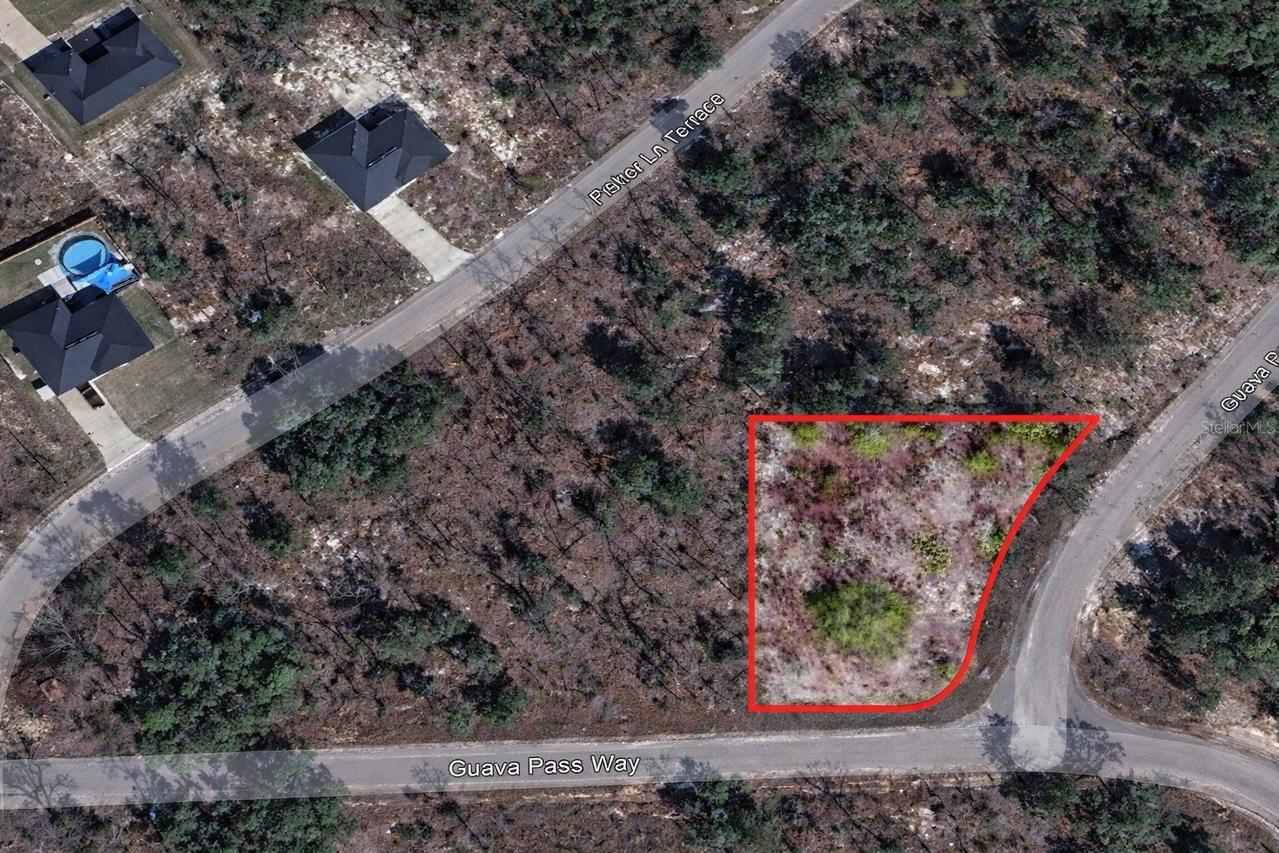 Guava Pass Pl, Ocklawaha, FL 32179