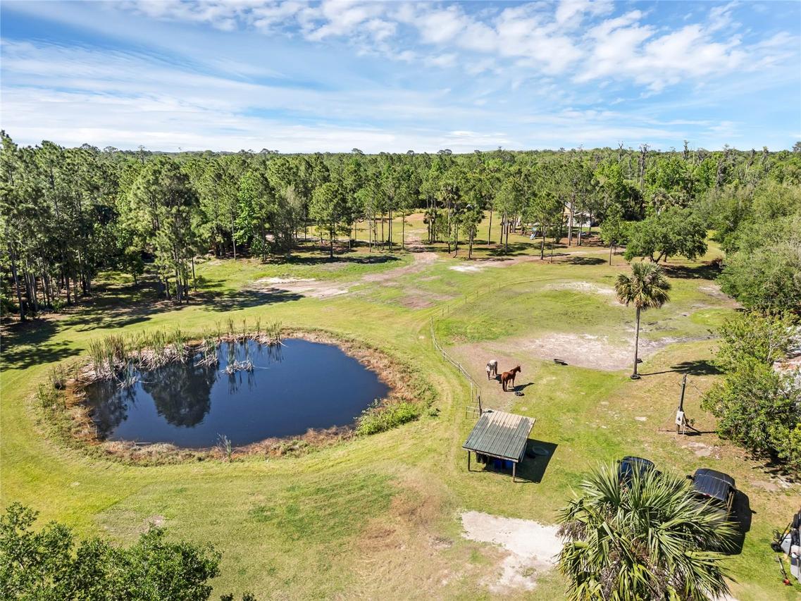 2321 Waccassa St., Geneva, FL 32732