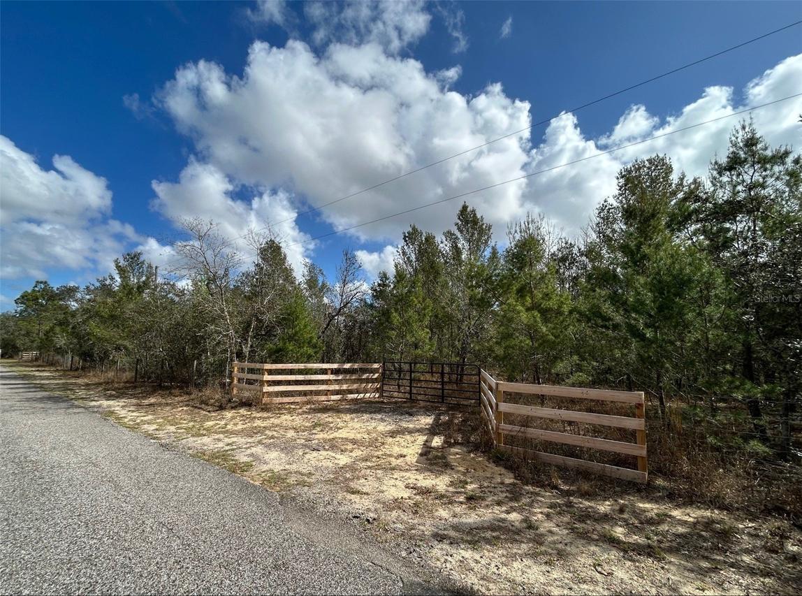 Black Bear Ln., Winter Garden, FL 34787