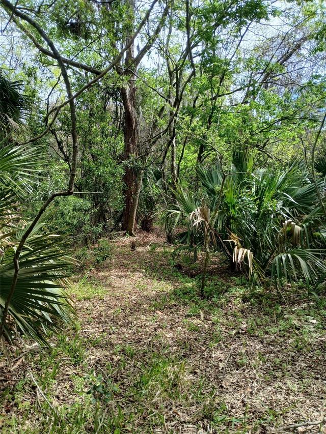 E Hubbard Ave., Deland, FL 32724