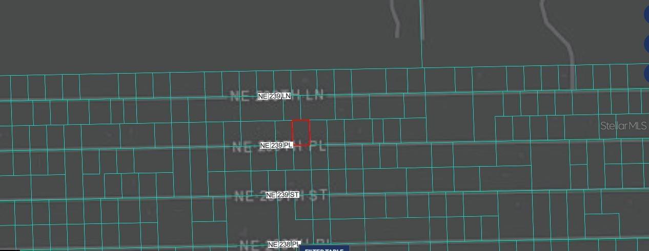Ne 243rd Place Rd, Fort Mc Coy, FL 32134