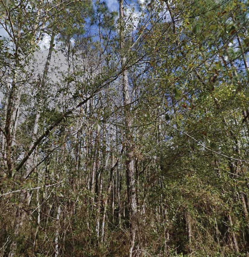 SE 3rd St., Palatka, FL 32177