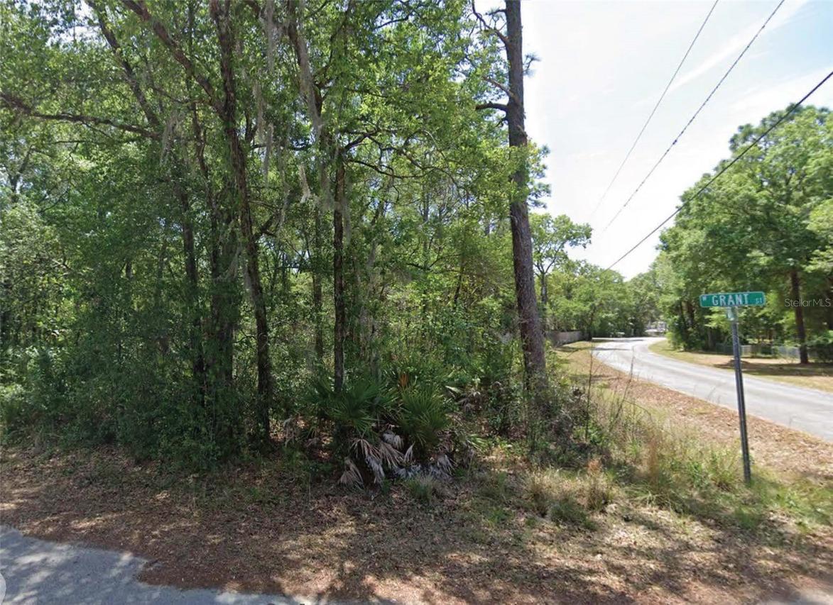 6634 W Grant St., Homosassa, FL 34448