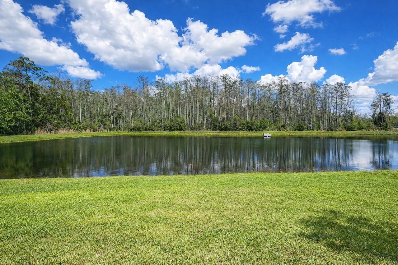 2183 Crystal Bell St., Orlando, FL 32824