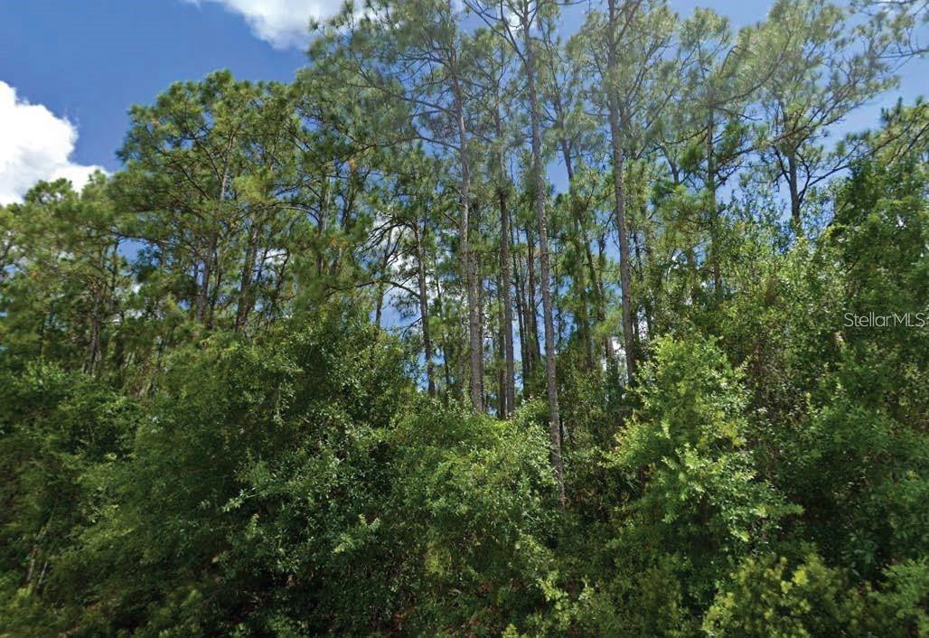 Lot 15 Langsom Ln., North Port, FL 34286