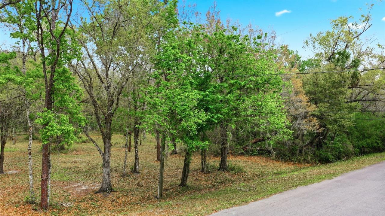 Quinlan St., Orlando, FL 32833