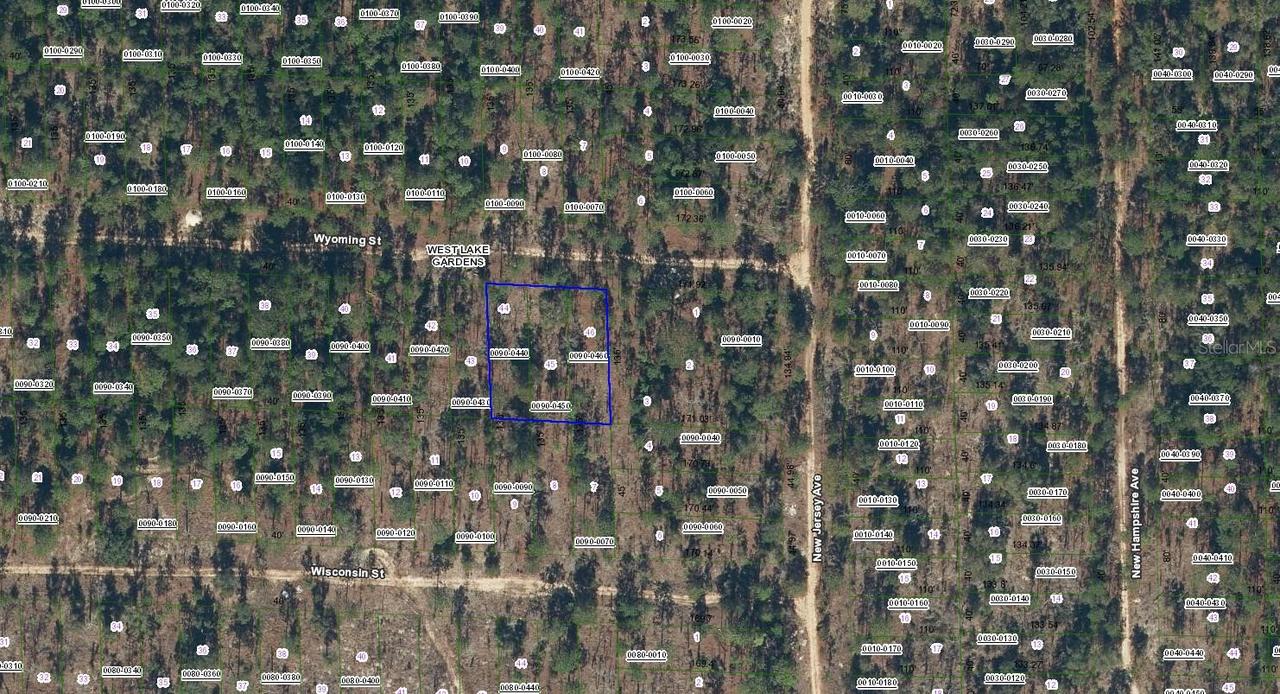 103 Wyoming St., Hawthorne, FL 32640