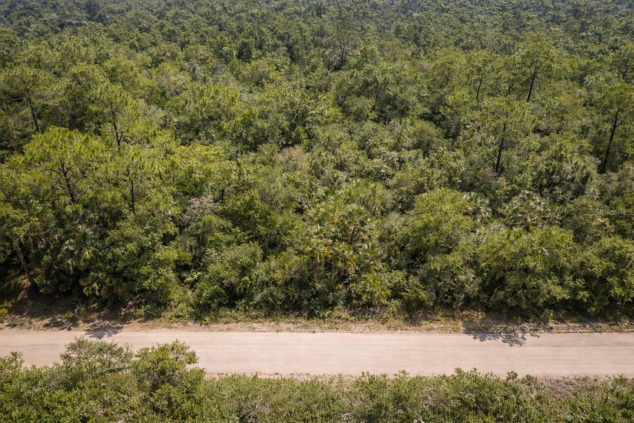 823 Durmon Ave., Lake Placid, FL 33852