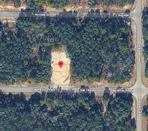 7397 SW 145th Place Rd., Ocala, FL 34473