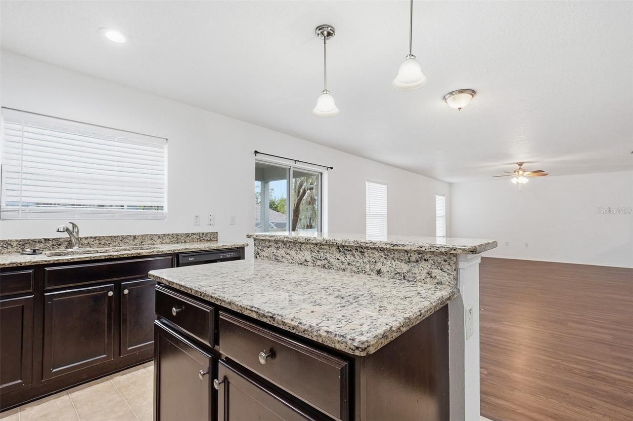 10920 Pond Pine Dr., Riverview, FL 33569