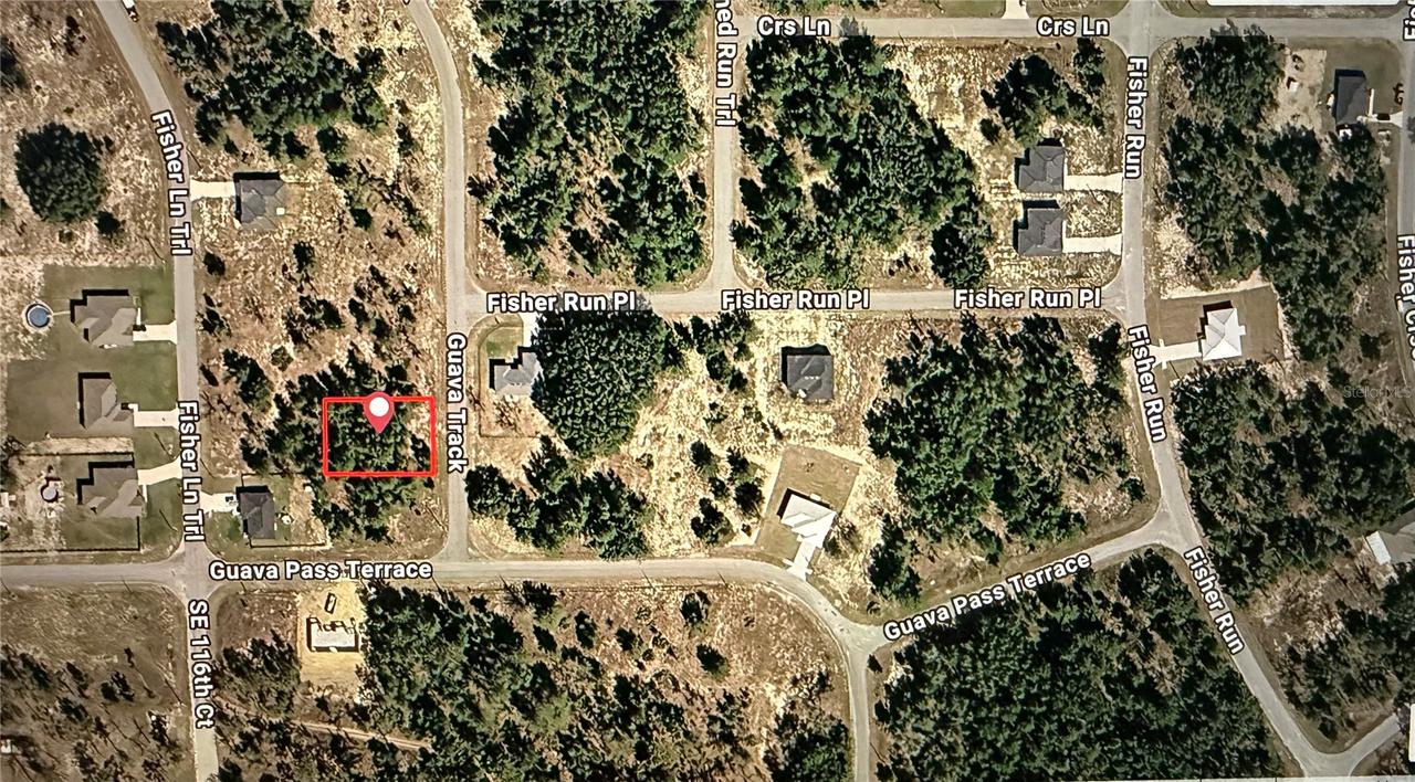 Guava Track, Ocklawaha, FL 32179