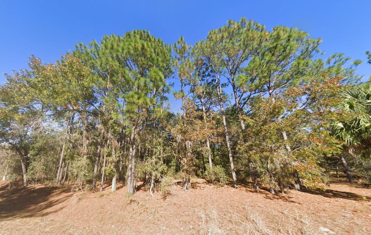 2284 County Road 243b, Wildwood, FL 34785