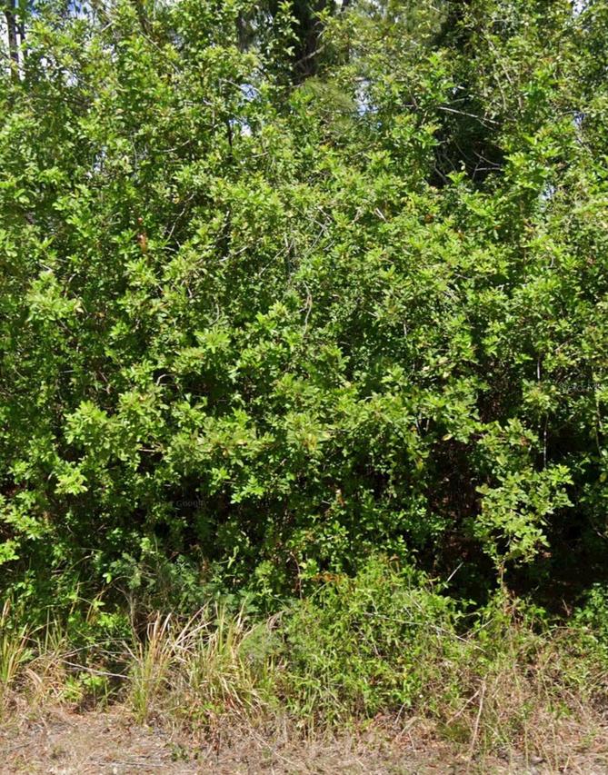 103 Dakota St., Lake Placid, FL 33852