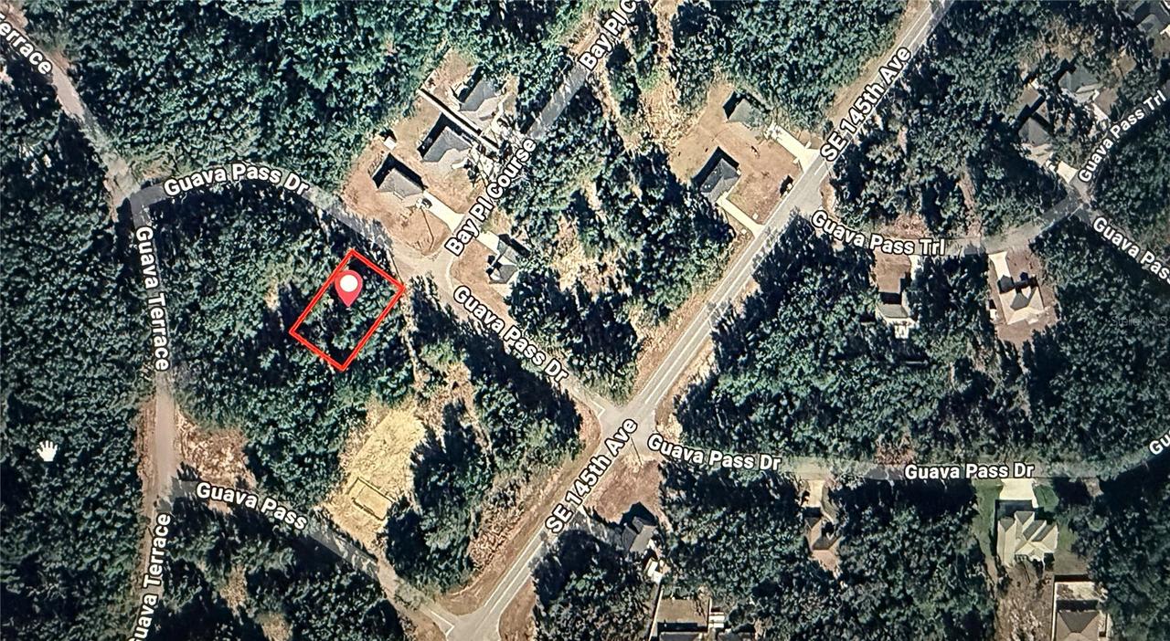 Guava Pass, Ocklawaha, FL 32179