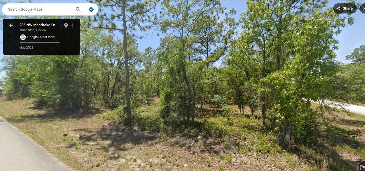 Lot 17 NW Shamrock Ave., Dunnellon, FL 34431