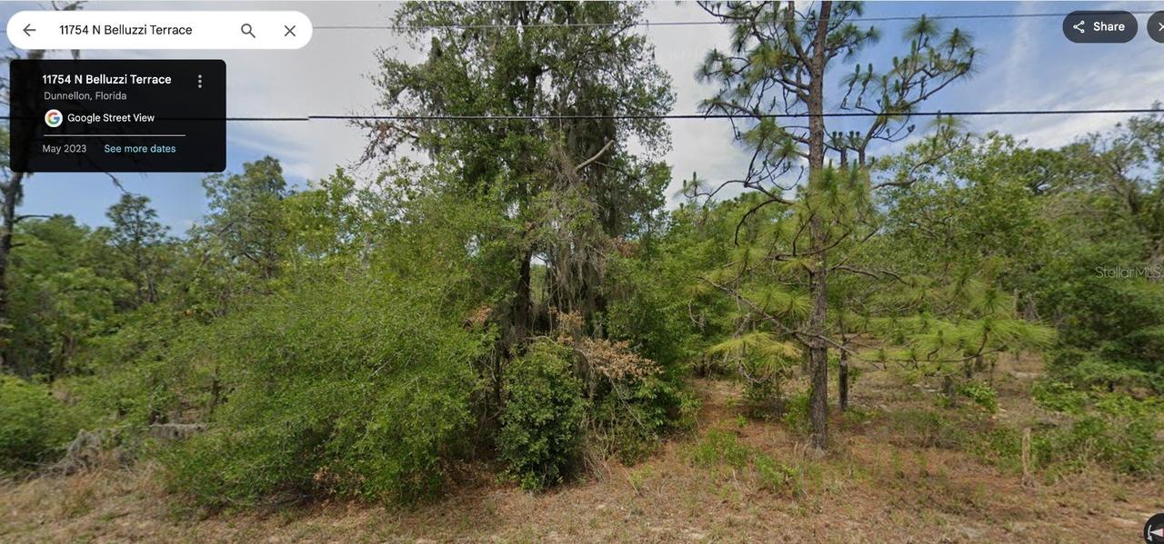 11754 N Belluzzi Ter., Dunnellon, FL 34433