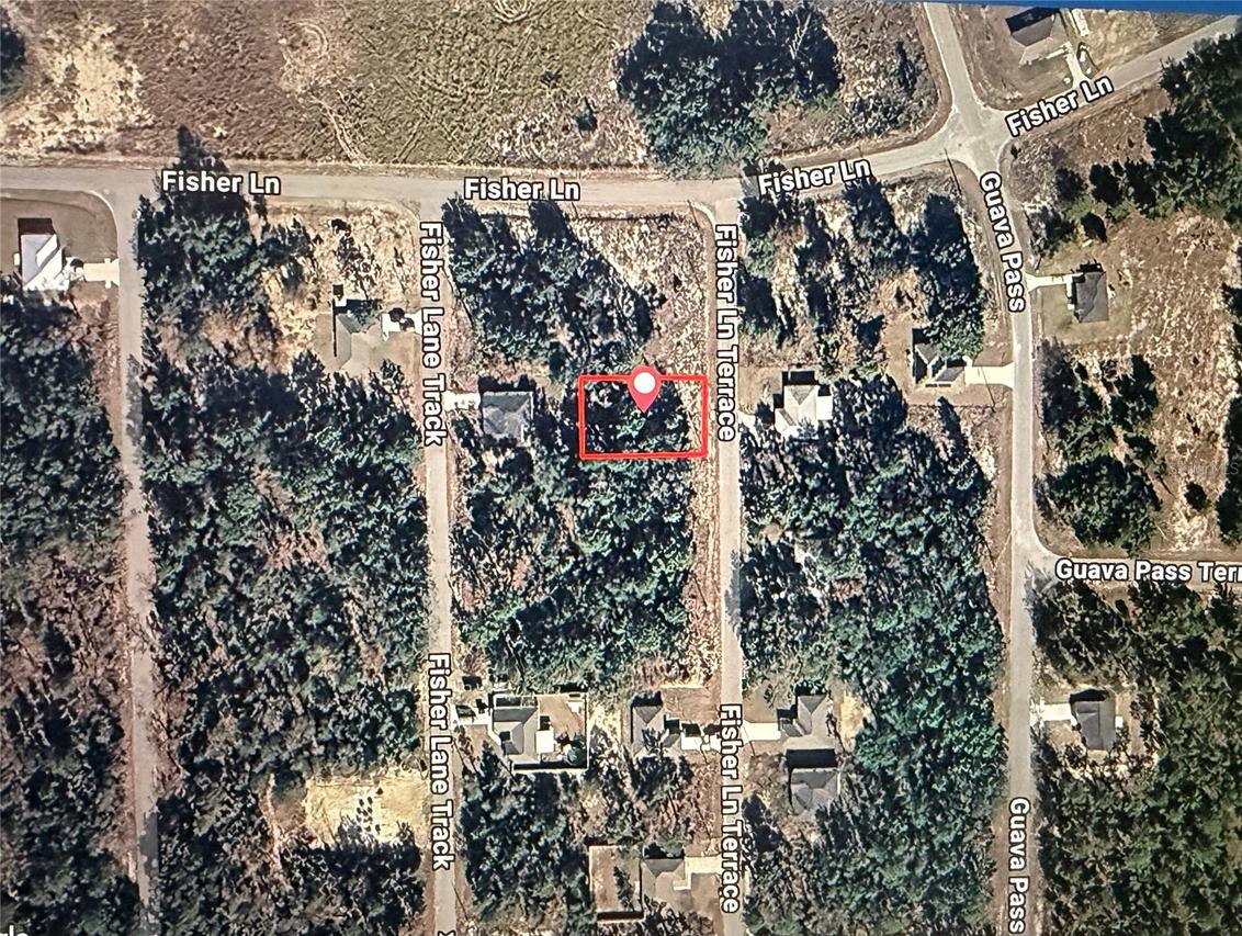Fisher Lane Ter., Ocklawaha, FL 32179