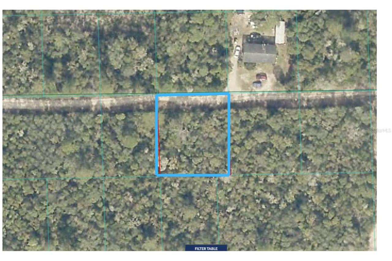 Lot 19 Ne 233rd Lane, Fort Mc Coy, FL 32134