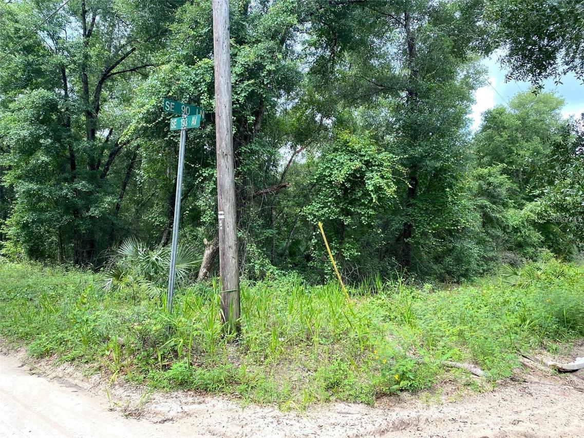 TBD SE 193rd Ave., Ocklawaha, FL 32179