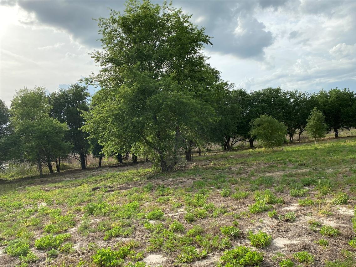 South O 'brien Rd., Groveland, FL 34736