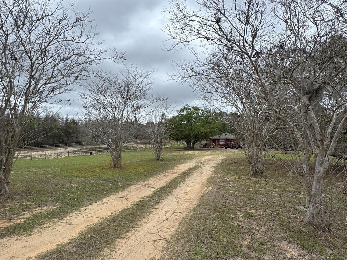 18001 Phil C Peters Rd., Winter Garden, FL 34787