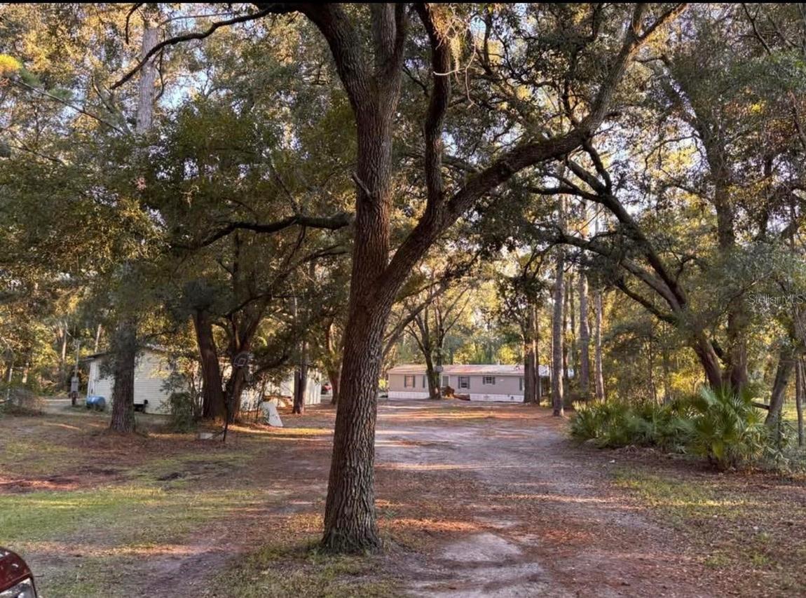 14215 97th Rd., Live Oak, FL 32060