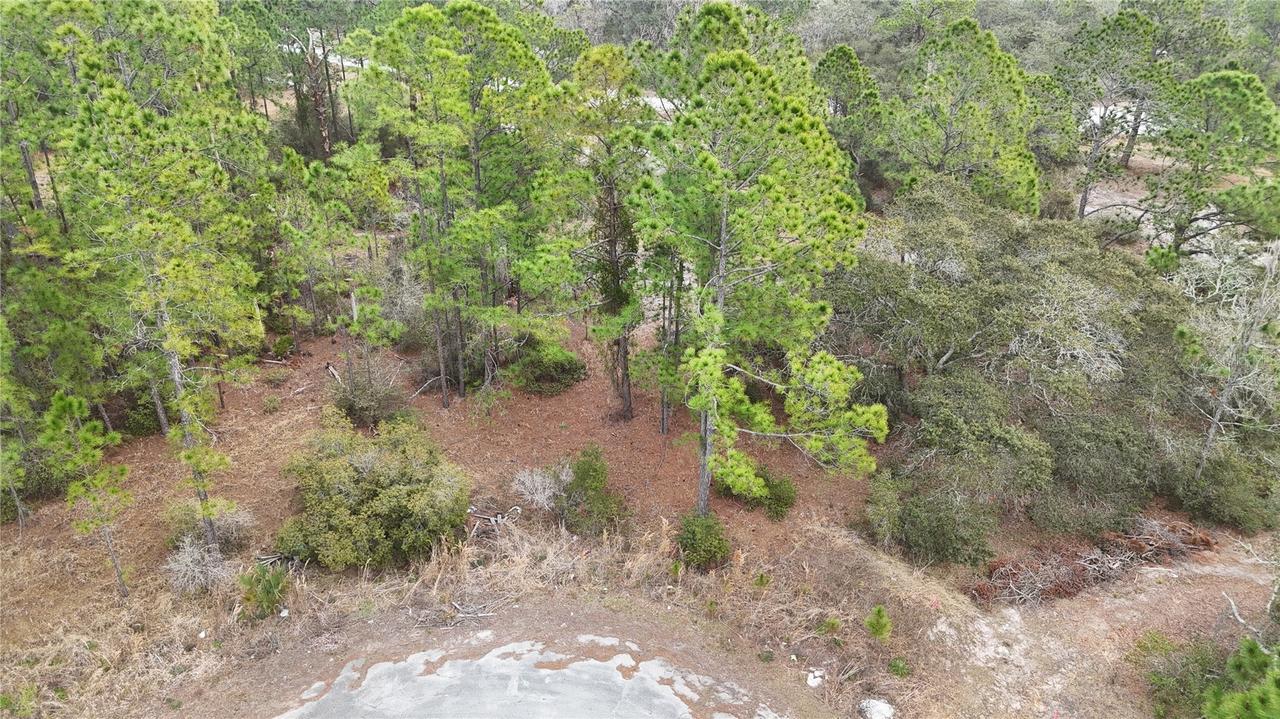 1255 Wahneta Dr., Kissimmee, FL 34759