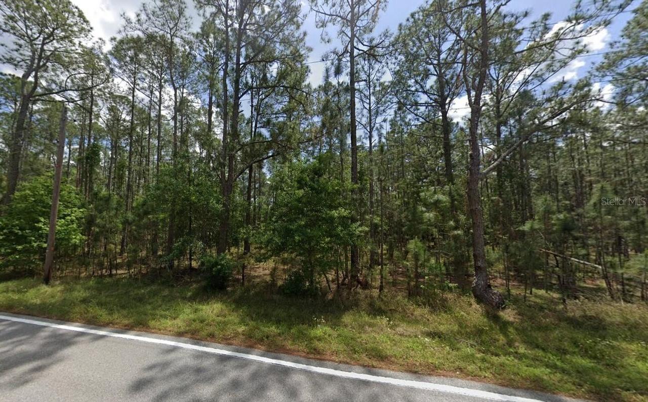 Poyner Oaks Rd., Polk City, FL 33868