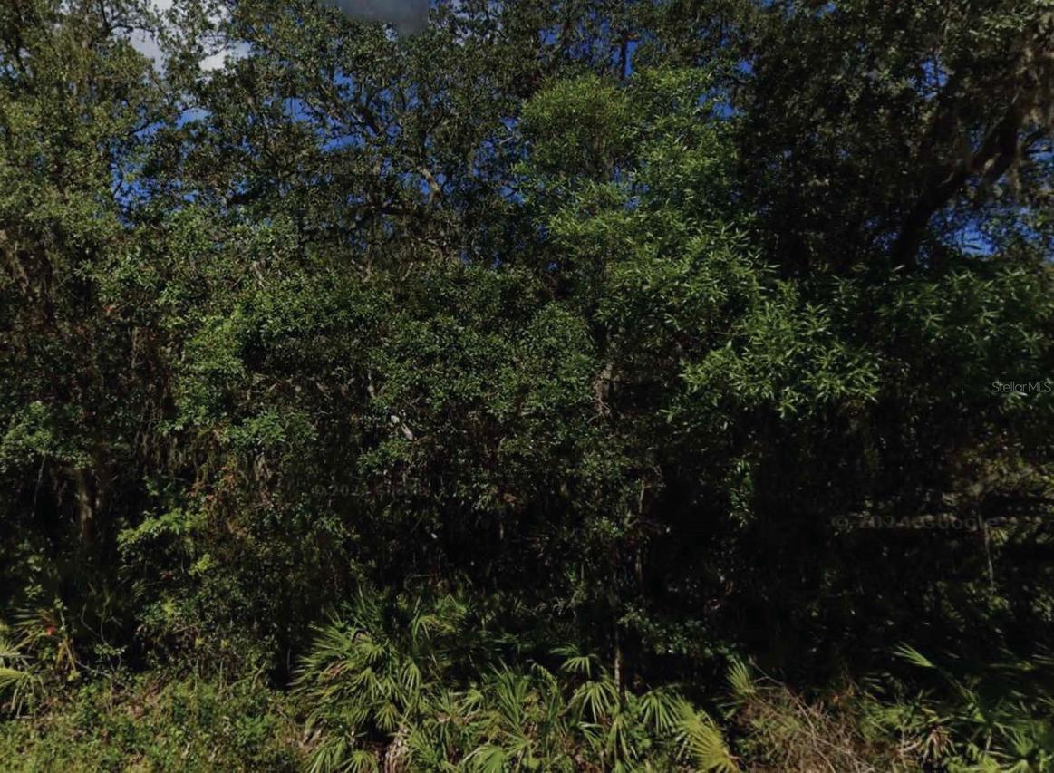 NE 47th Ter., Citra, FL 32113