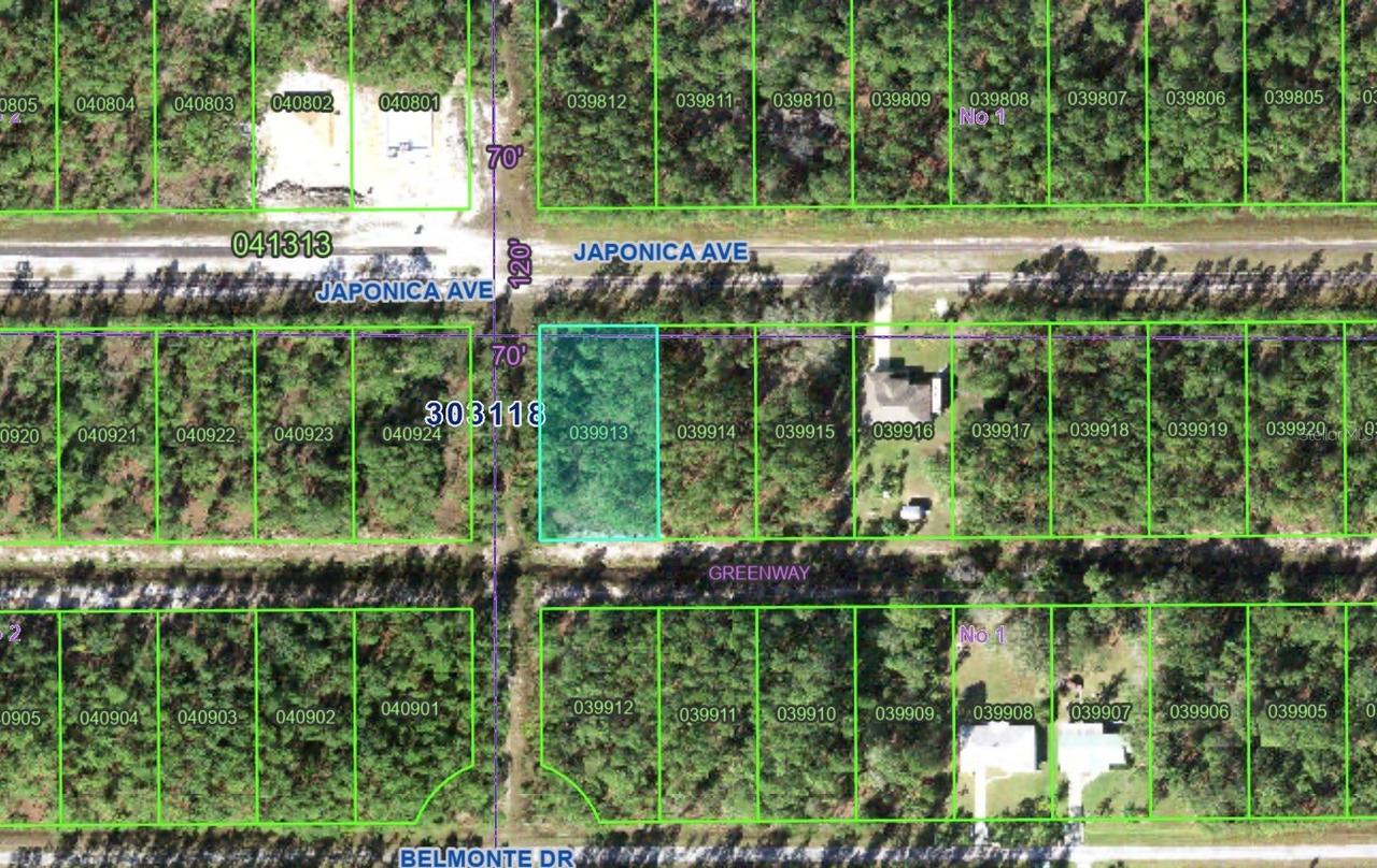 623 Japonica Ave., Indian Lake Estates, FL 33855