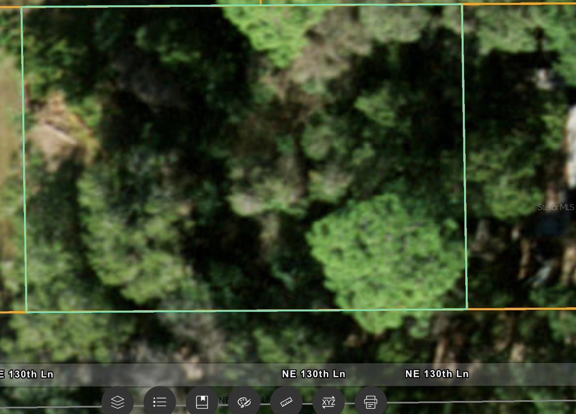 NE 130 Ln., Salt Springs, FL 32134