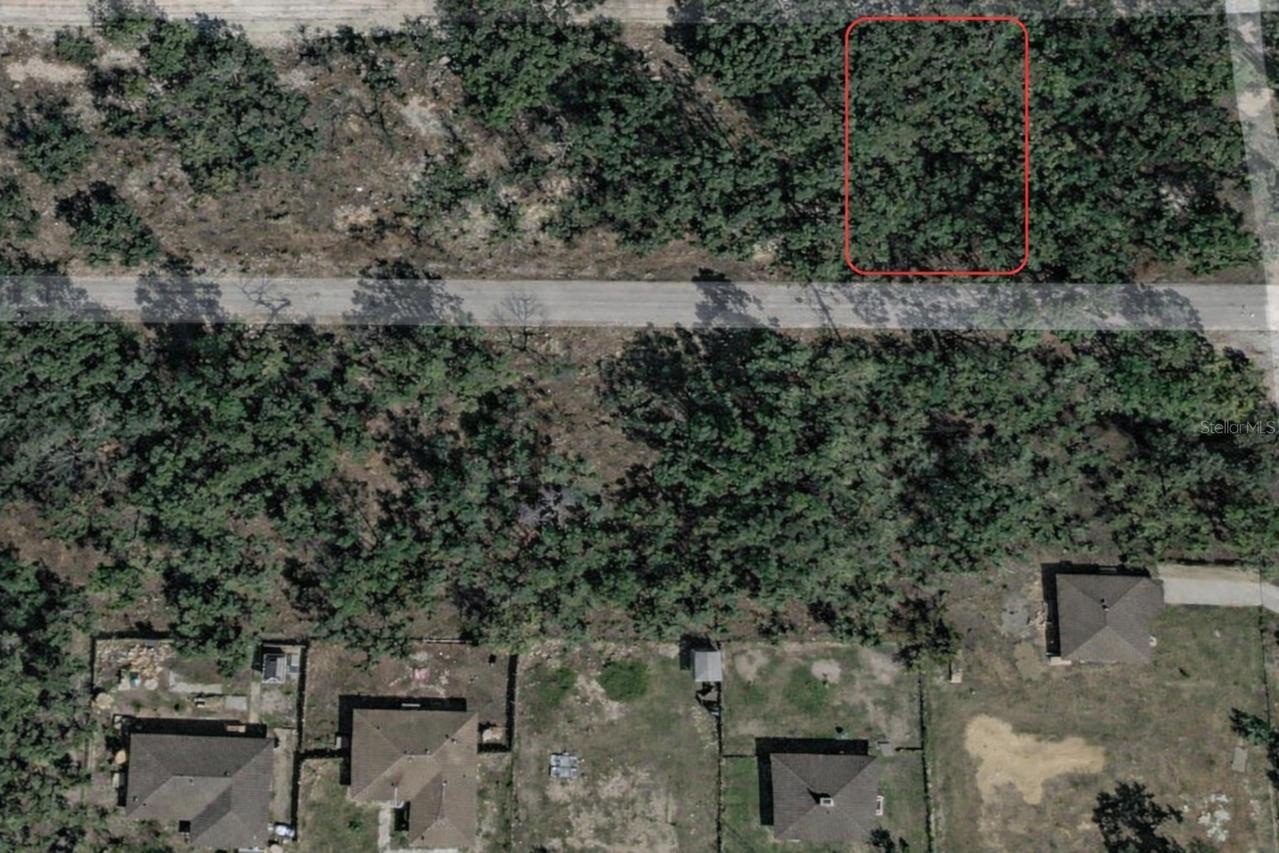 Malauka Pass Trl, Ocklawaha, FL 32179