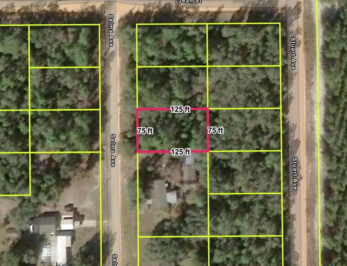 [Address Hidden by Seller], Interlachen, FL 32148