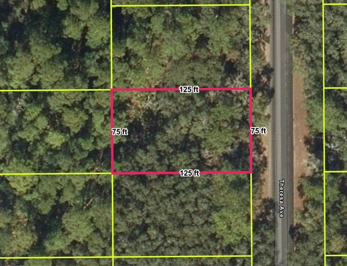 [Address Hidden by Seller], Interlachen, FL 32148