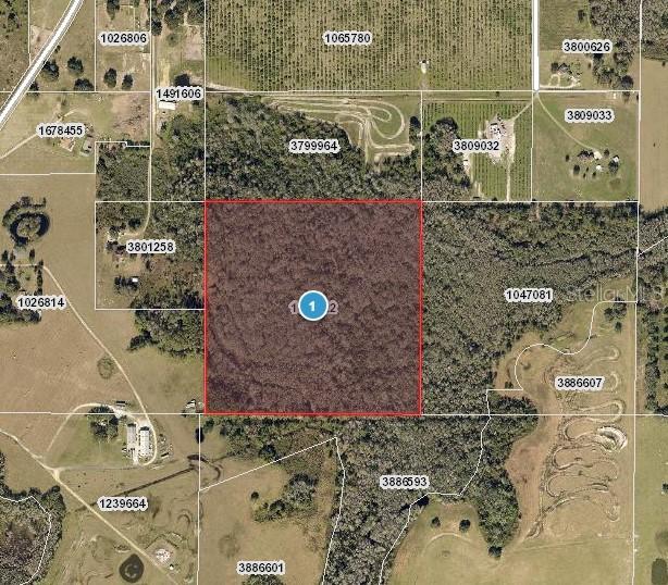 E Hidden Grove Rd., Clermont, FL 34711