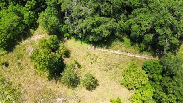 4026 N Orange Blossom Tr., Mount Dora, FL 32757